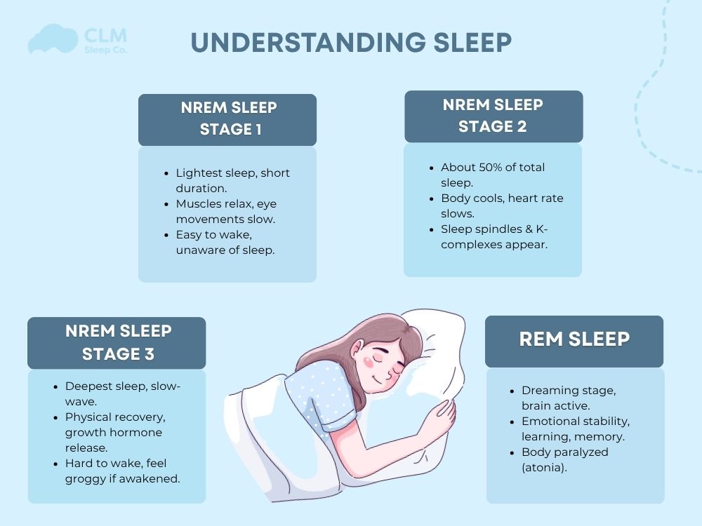 4 stages of sleep
