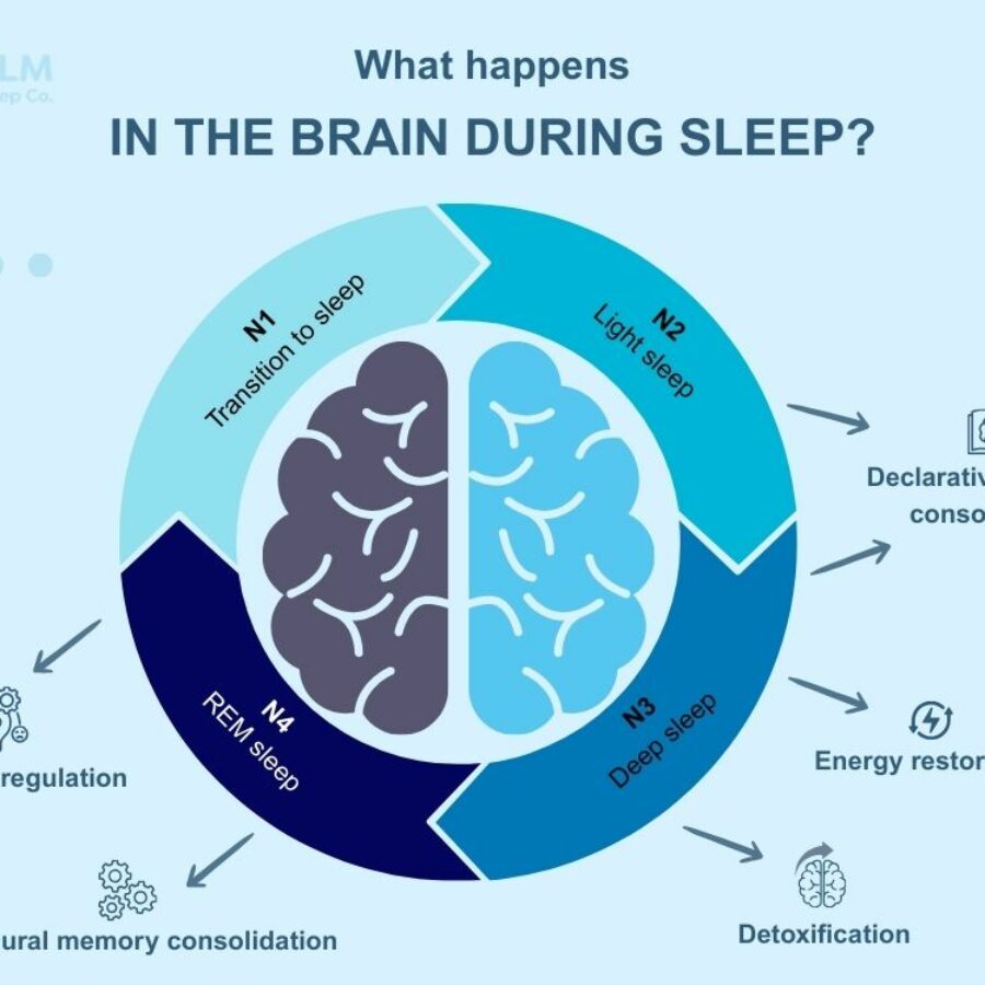 https://www.clmsleep.com/wp-content/uploads/2025/09/sleep-and-brain-function-900x900.jpg?utm_source=chatgpt.com