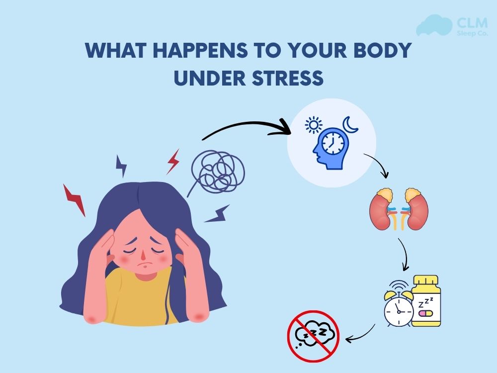 What Happens to Your Body Under Stress